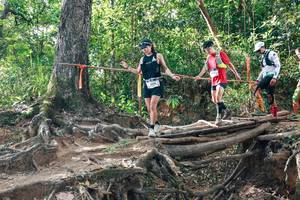 BIB: 
                            <button type="button" onclick="openModal(27556057)" class="btn btn-primary btn-sm float-right btn-popup" data-toggle="modal" data-target=".modal-high-quality">
                        <i class="fas fa-shopping-cart"></i> Add to Cart
                    </button>
                                            <button type="button" onclick="isThisMe(27556057, true)" class="btn btn-success btn-sm float-right btn-popup btn-isme hidden" data-toggle="tooltip" data-placement="bottom" title="นี่คือรูปของคุณใช่ไหม คลิกที่นี่เพื่อเอาเข้าอัลบั้ม">
                        <i class="fas fa-plus"></i> Add to album
                    </button>
                    <button type="button" onclick="isThisMe(27556057, false)" class="btn btn-warning btn-sm float-right btn-popup btn-isnotme hidden">
                        <i class="fas fa-ban"></i> Remove from album
                    </button>